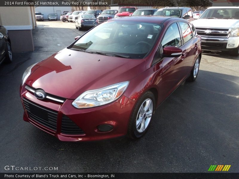 Ruby Red / Charcoal Black 2014 Ford Focus SE Hatchback