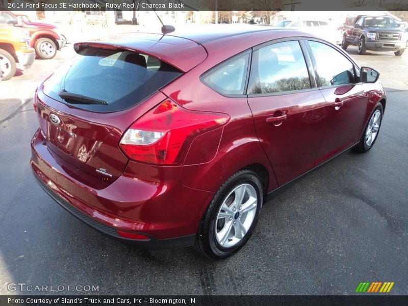 Ruby Red / Charcoal Black 2014 Ford Focus SE Hatchback