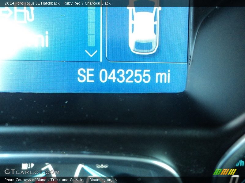 Ruby Red / Charcoal Black 2014 Ford Focus SE Hatchback