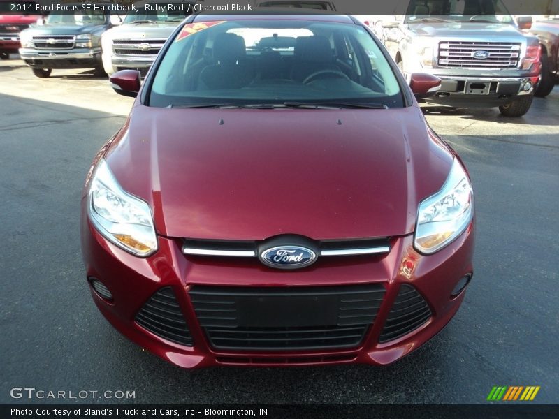 Ruby Red / Charcoal Black 2014 Ford Focus SE Hatchback