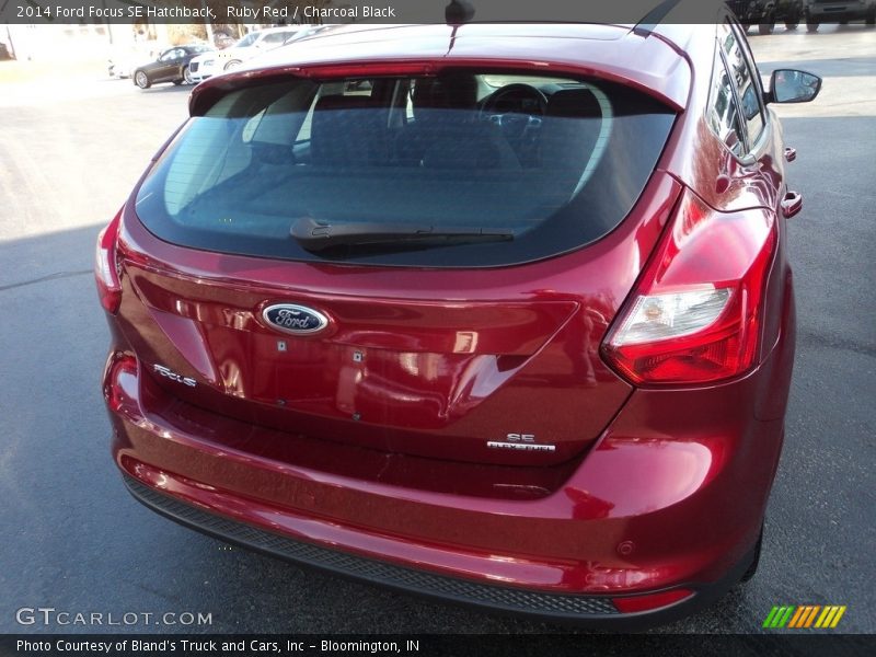 Ruby Red / Charcoal Black 2014 Ford Focus SE Hatchback