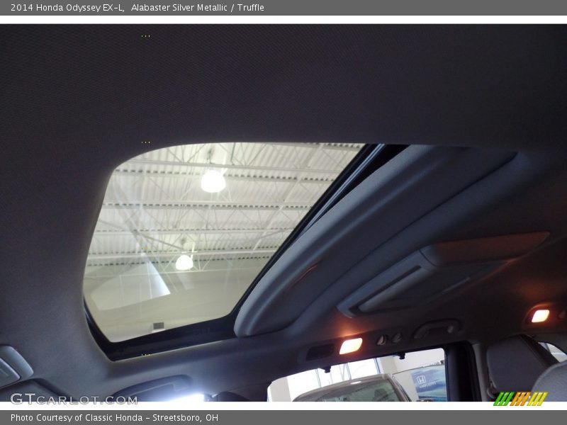 Alabaster Silver Metallic / Truffle 2014 Honda Odyssey EX-L