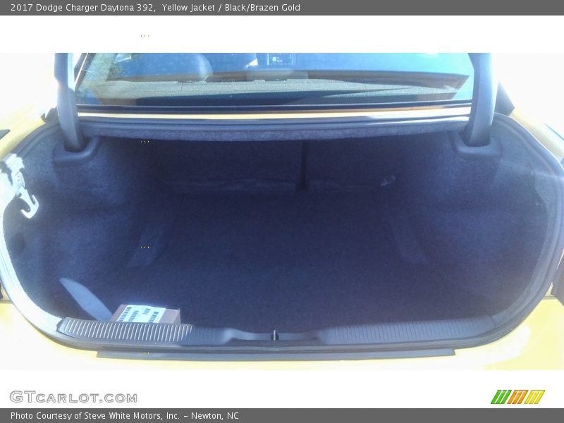 Yellow Jacket / Black/Brazen Gold 2017 Dodge Charger Daytona 392