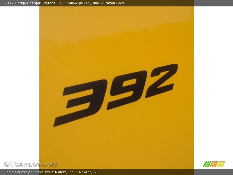  2017 Charger Daytona 392 Logo
