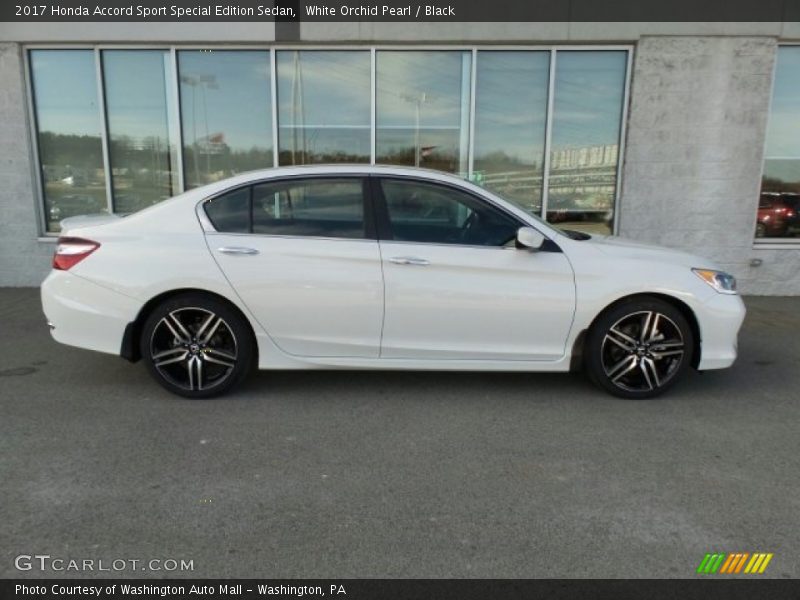 White Orchid Pearl / Black 2017 Honda Accord Sport Special Edition Sedan