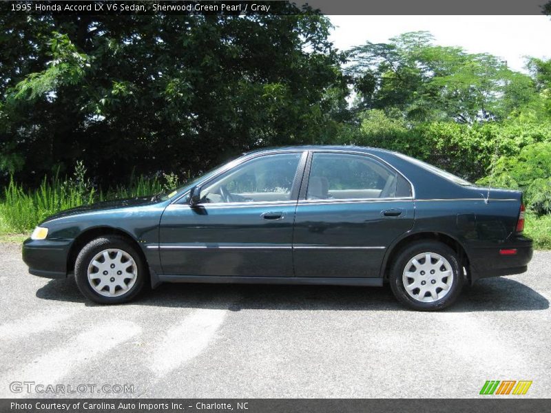 Sherwood Green Pearl / Gray 1995 Honda Accord LX V6 Sedan