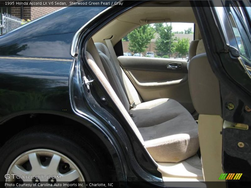 Sherwood Green Pearl / Gray 1995 Honda Accord LX V6 Sedan