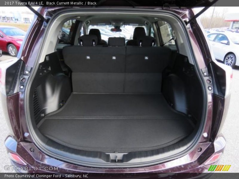 Black Current Metallic / Black 2017 Toyota RAV4 LE
