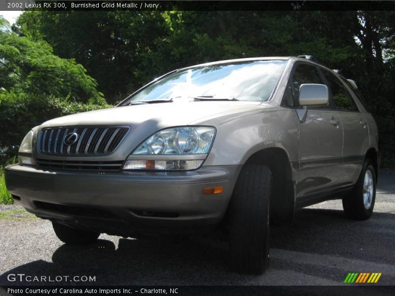 Burnished Gold Metallic / Ivory 2002 Lexus RX 300