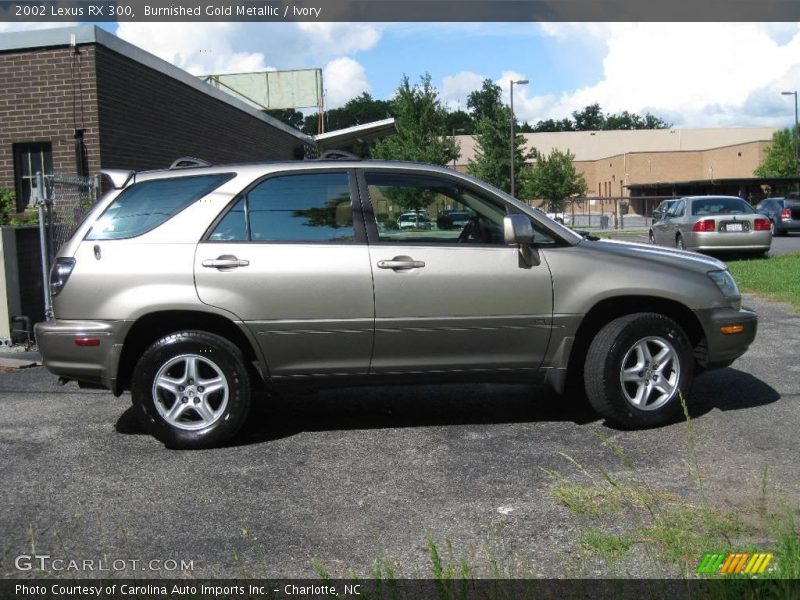 Burnished Gold Metallic / Ivory 2002 Lexus RX 300