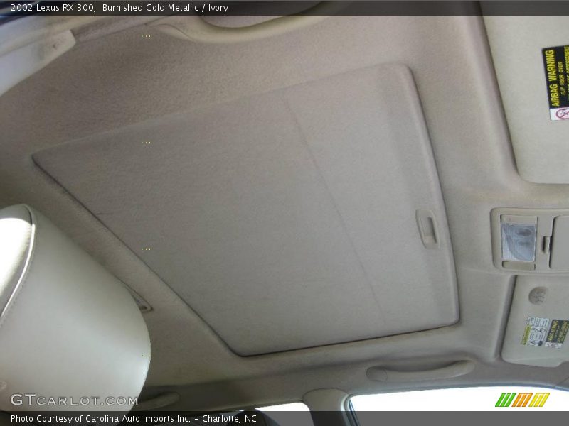 Burnished Gold Metallic / Ivory 2002 Lexus RX 300
