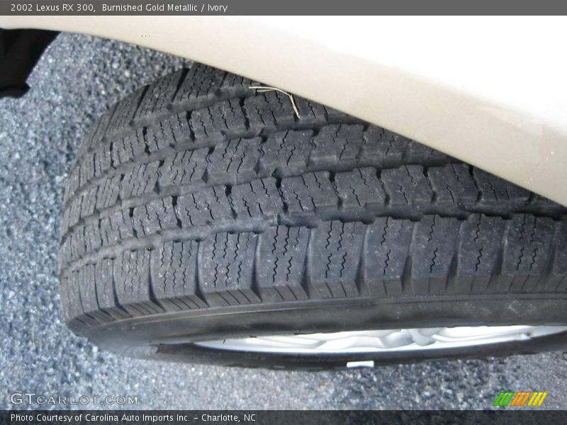 Burnished Gold Metallic / Ivory 2002 Lexus RX 300