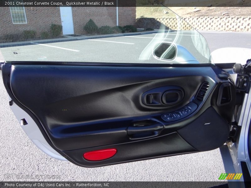 Door Panel of 2001 Corvette Coupe