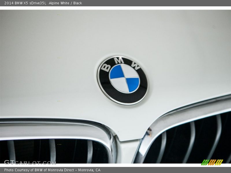 Alpine White / Black 2014 BMW X5 sDrive35i