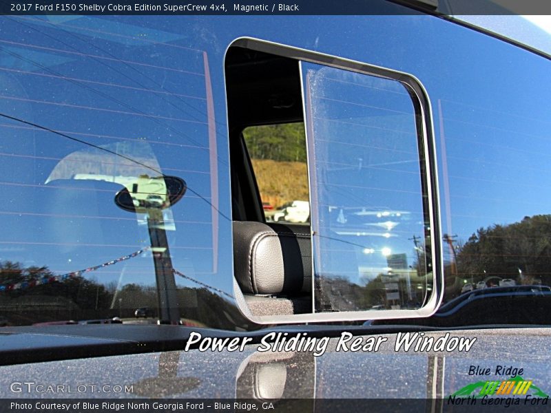 Magnetic / Black 2017 Ford F150 Shelby Cobra Edition SuperCrew 4x4
