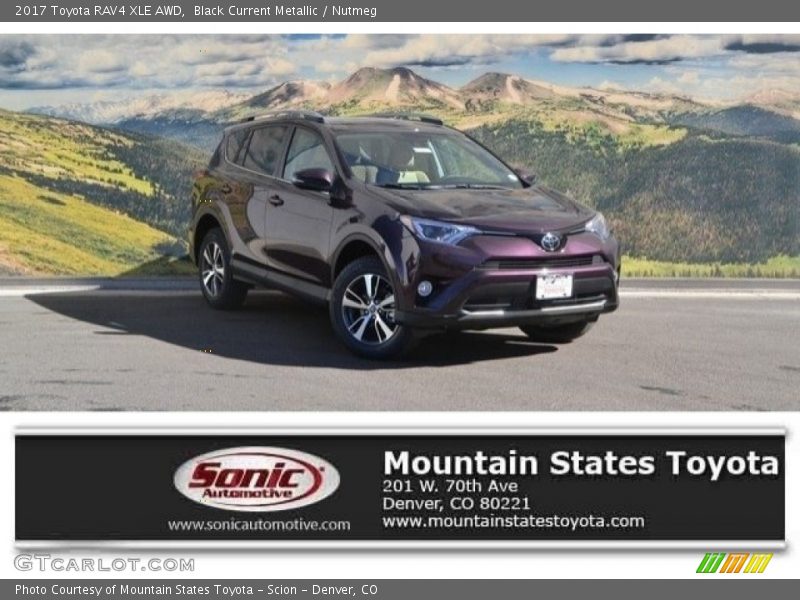 Black Current Metallic / Nutmeg 2017 Toyota RAV4 XLE AWD