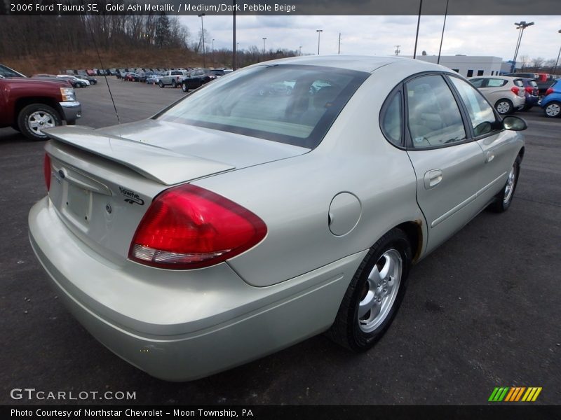Gold Ash Metallic / Medium/Dark Pebble Beige 2006 Ford Taurus SE
