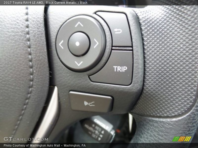Black Current Metallic / Black 2017 Toyota RAV4 LE AWD