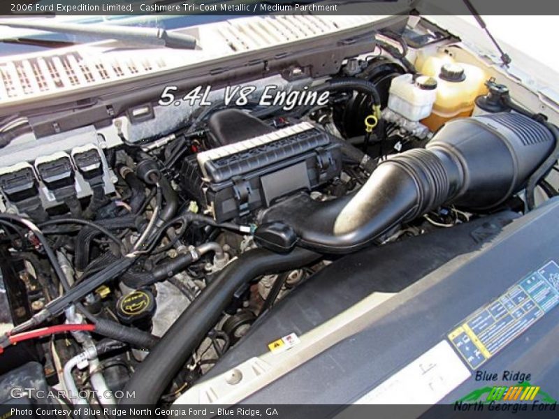 Cashmere Tri-Coat Metallic / Medium Parchment 2006 Ford Expedition Limited