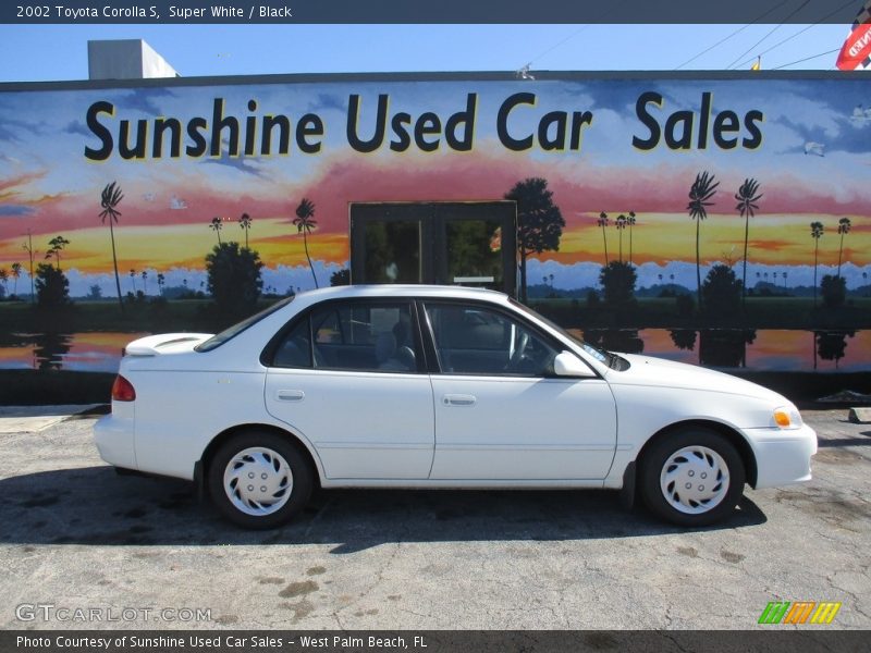 Super White / Black 2002 Toyota Corolla S