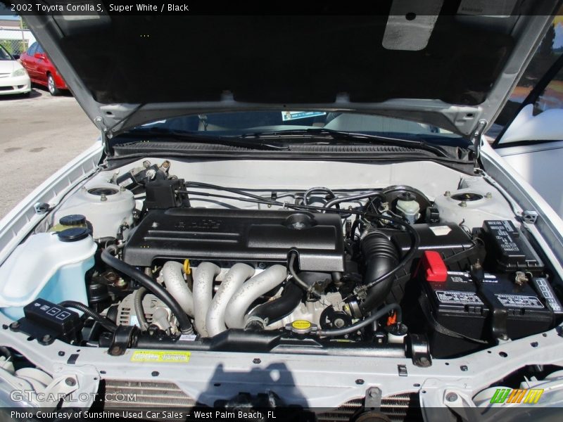 Super White / Black 2002 Toyota Corolla S