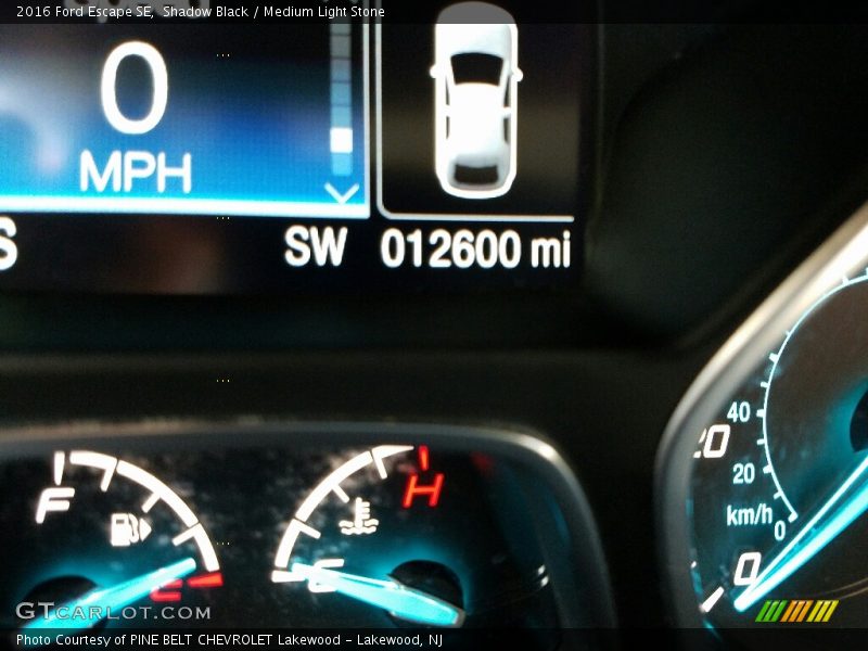 Shadow Black / Medium Light Stone 2016 Ford Escape SE