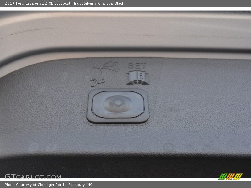 Ingot Silver / Charcoal Black 2014 Ford Escape SE 2.0L EcoBoost