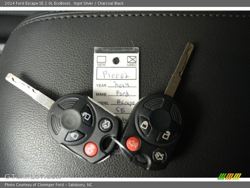 Ingot Silver / Charcoal Black 2014 Ford Escape SE 2.0L EcoBoost