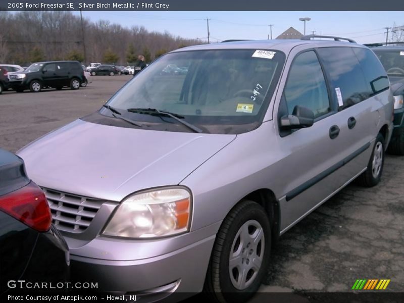 Silver Birch Metallic / Flint Grey 2005 Ford Freestar SE