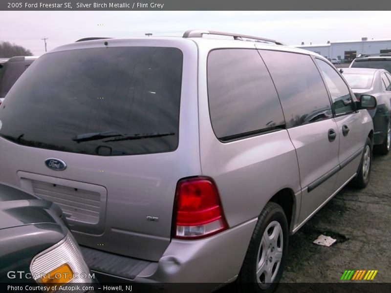 Silver Birch Metallic / Flint Grey 2005 Ford Freestar SE