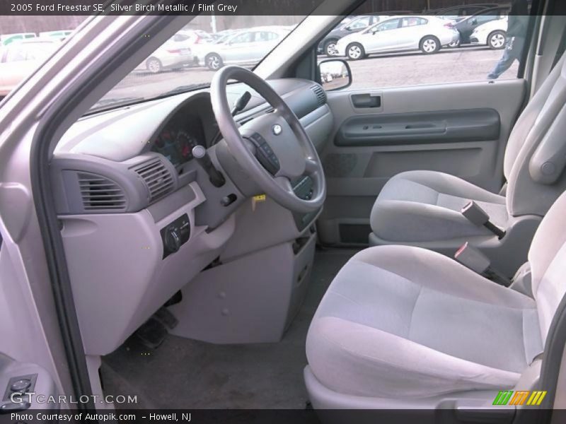 Silver Birch Metallic / Flint Grey 2005 Ford Freestar SE