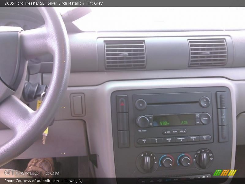 Silver Birch Metallic / Flint Grey 2005 Ford Freestar SE
