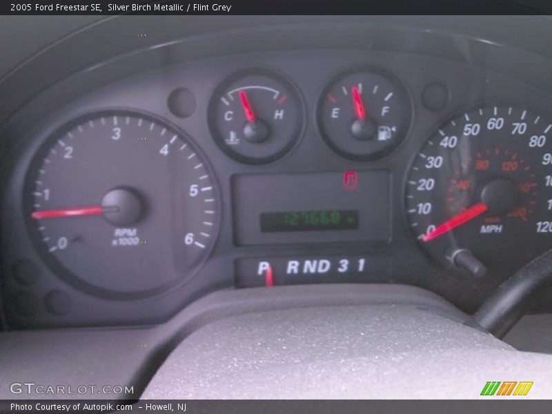 Silver Birch Metallic / Flint Grey 2005 Ford Freestar SE