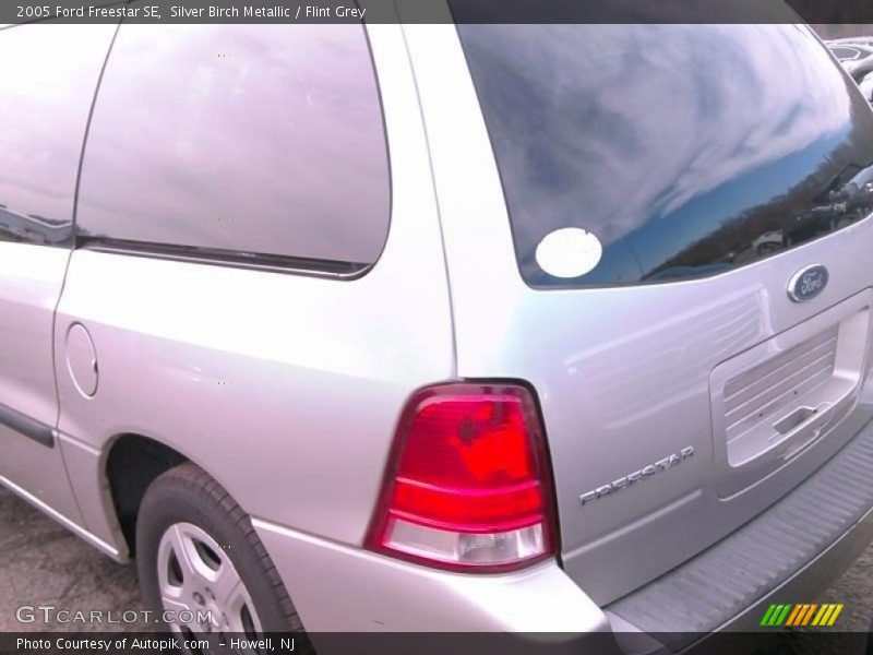 Silver Birch Metallic / Flint Grey 2005 Ford Freestar SE