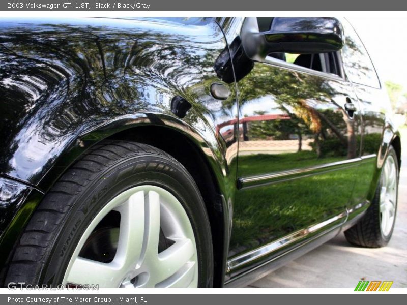 Black / Black/Gray 2003 Volkswagen GTI 1.8T
