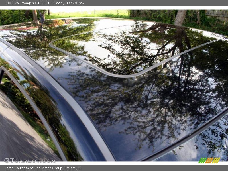 Black / Black/Gray 2003 Volkswagen GTI 1.8T