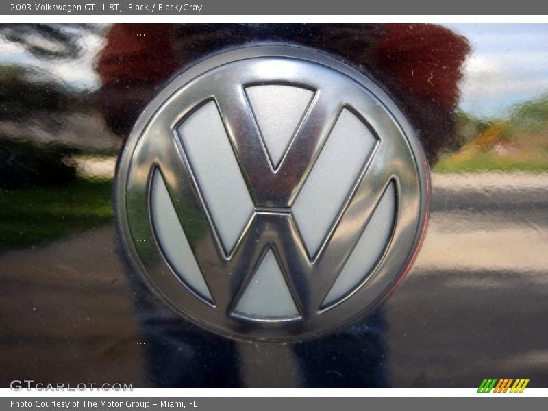 Black / Black/Gray 2003 Volkswagen GTI 1.8T