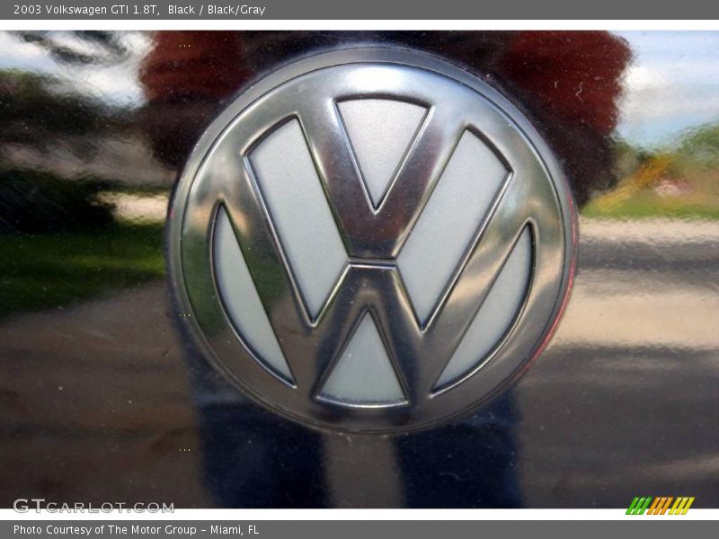 Black / Black/Gray 2003 Volkswagen GTI 1.8T