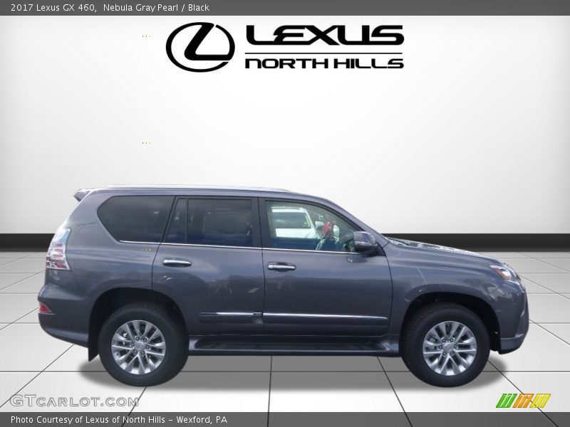 Nebula Gray Pearl / Black 2017 Lexus GX 460