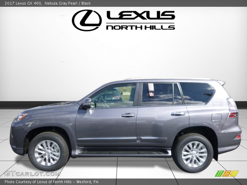Nebula Gray Pearl / Black 2017 Lexus GX 460