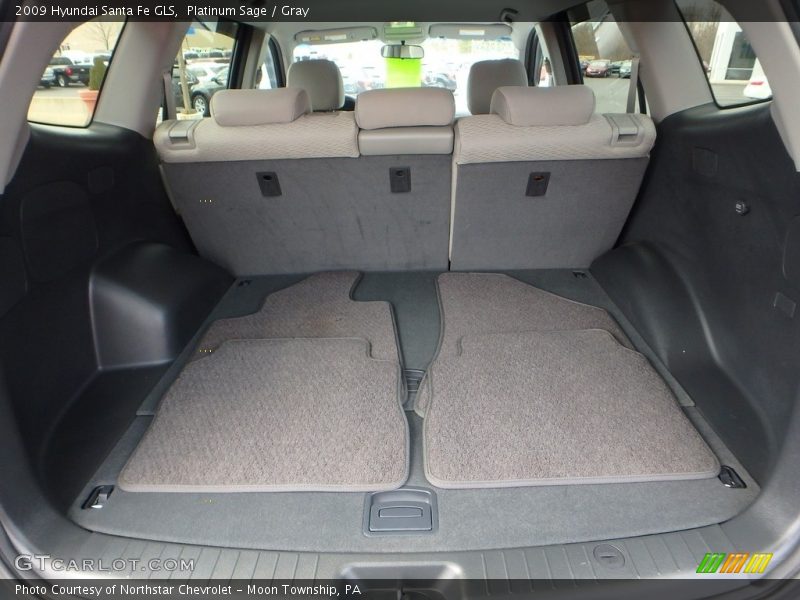 Platinum Sage / Gray 2009 Hyundai Santa Fe GLS