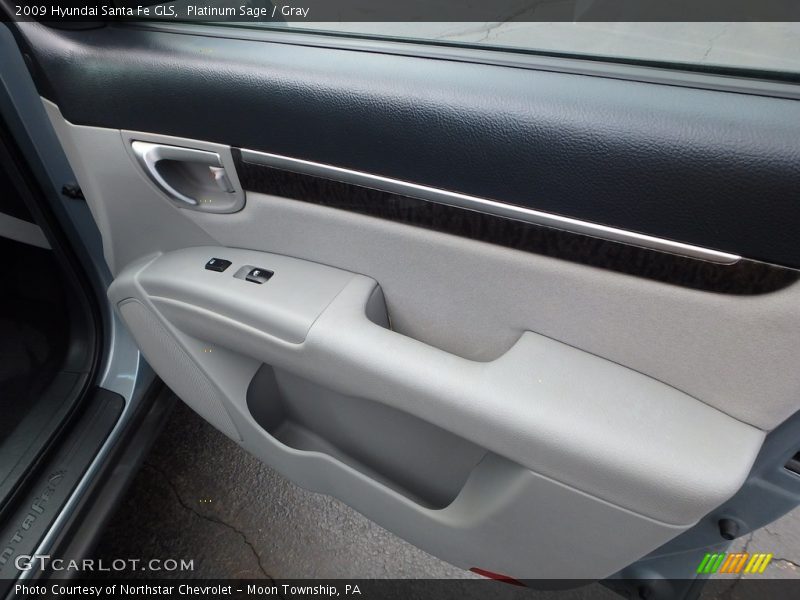 Platinum Sage / Gray 2009 Hyundai Santa Fe GLS
