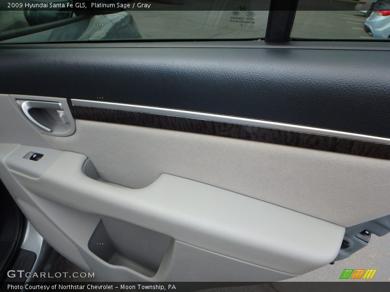 Platinum Sage / Gray 2009 Hyundai Santa Fe GLS