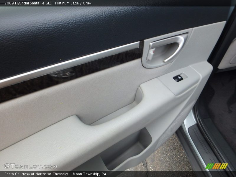 Platinum Sage / Gray 2009 Hyundai Santa Fe GLS