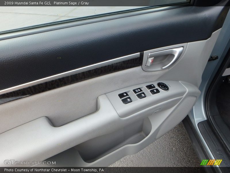 Platinum Sage / Gray 2009 Hyundai Santa Fe GLS