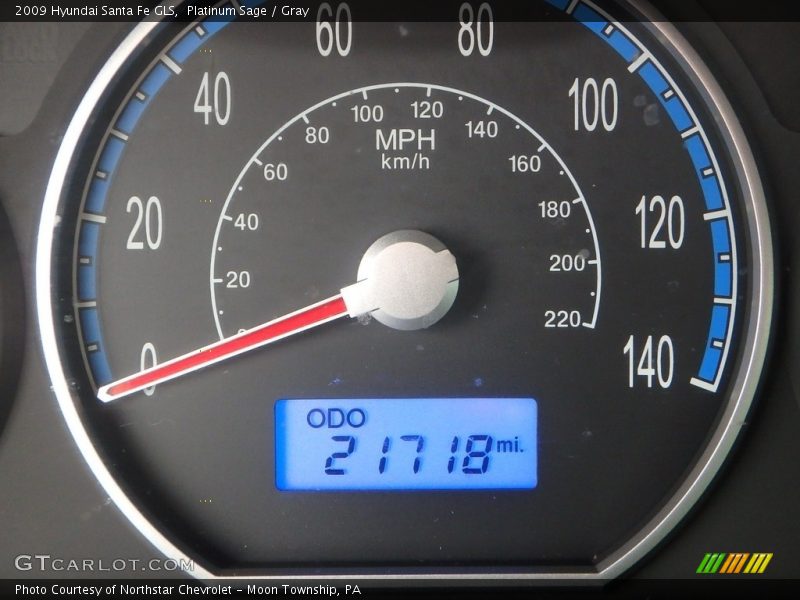 Platinum Sage / Gray 2009 Hyundai Santa Fe GLS