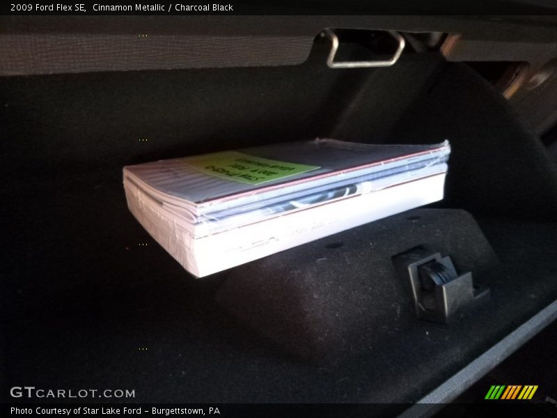 Cinnamon Metallic / Charcoal Black 2009 Ford Flex SE