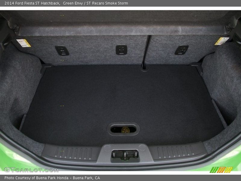 Green Envy / ST Recaro Smoke Storm 2014 Ford Fiesta ST Hatchback