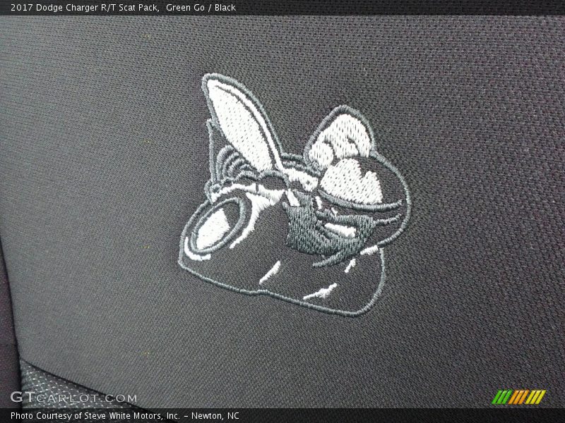 Green Go / Black 2017 Dodge Charger R/T Scat Pack