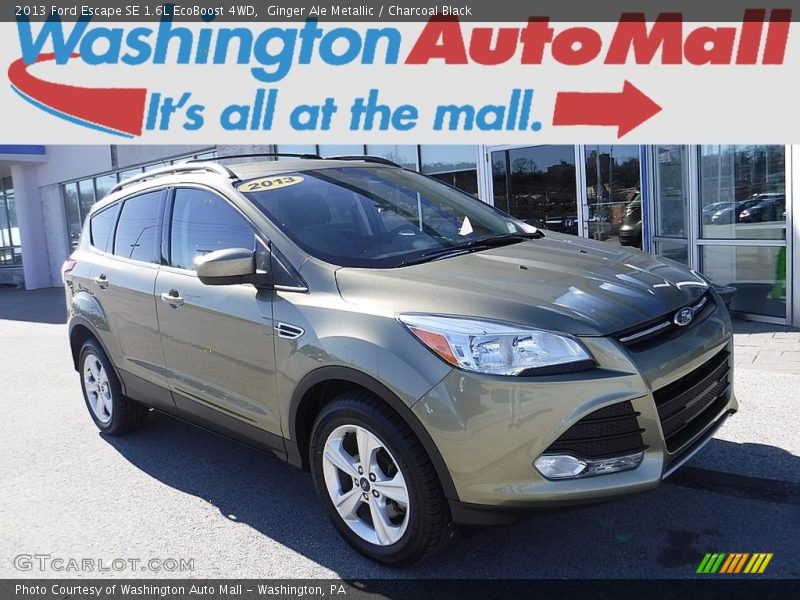 Ginger Ale Metallic / Charcoal Black 2013 Ford Escape SE 1.6L EcoBoost 4WD
